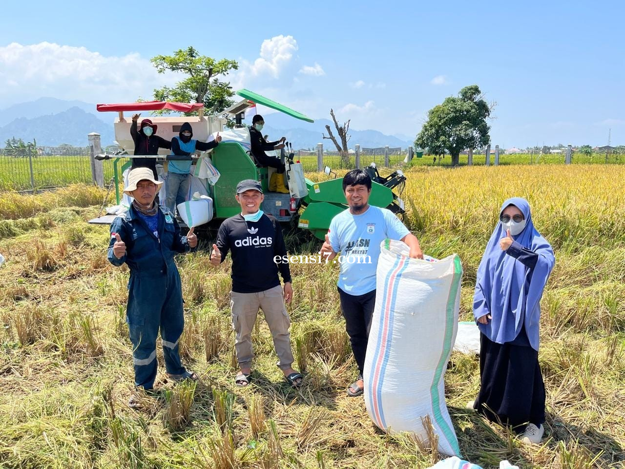 UPTD BBTPH Panen Calon Benih Padi Genja, Dukung Kemandirian Pangan Sulbar