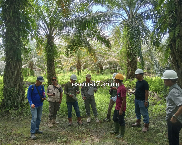 Tindaklanjuti Aduan Warga,  Tim Terpadu Pemprov Sulbar Tinjau Dugaan Pencemaran Limbah Perusahaan Sa