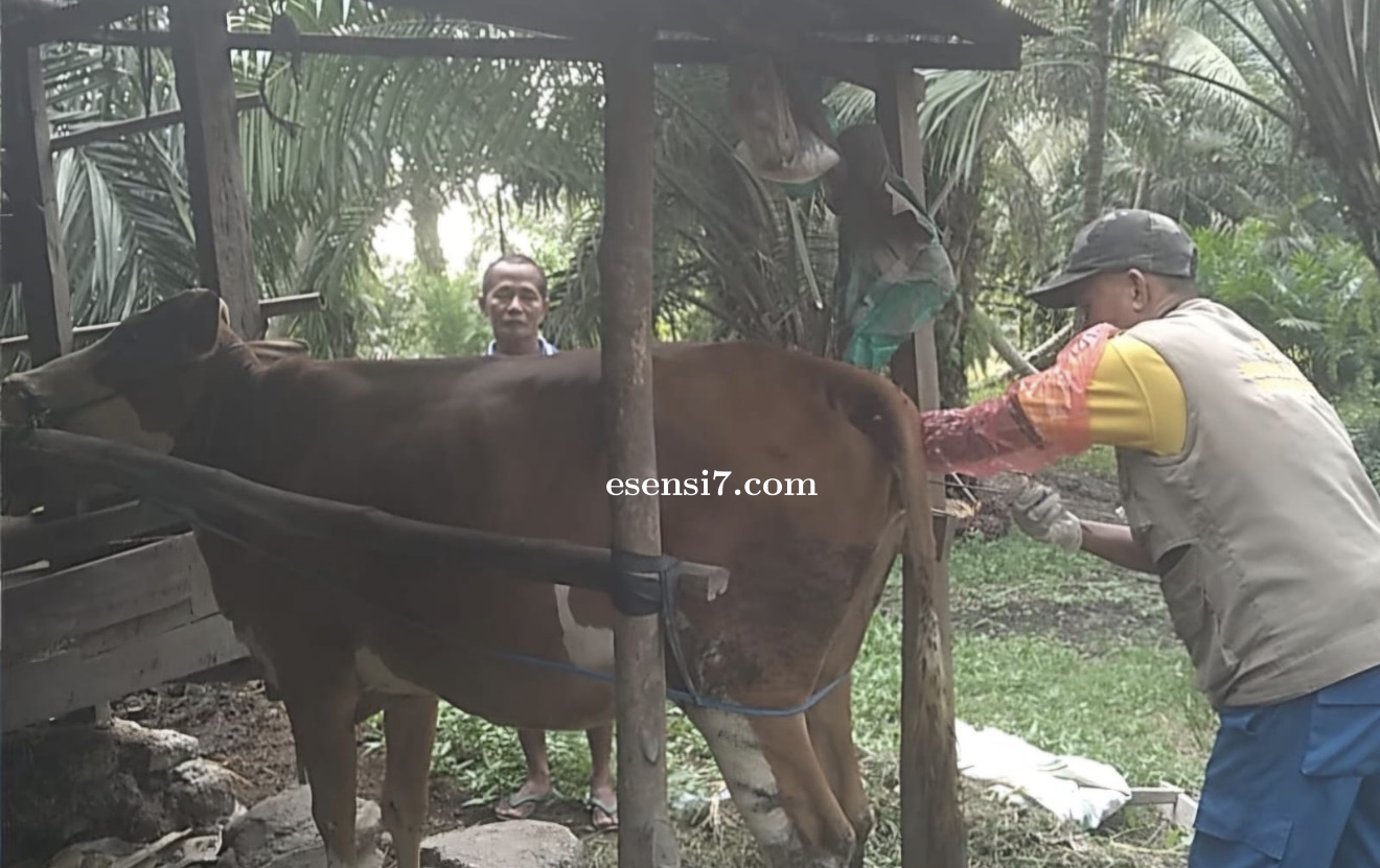Pelayanan IB Tetap Berjalan Selama Bulan Ramadan di Sulawesi Barat