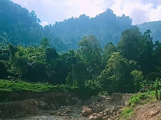 Tambang Pasir Di Ampallas Diduga Serobot Kawasan Hutan Lindung, HMI Mamuju: Kita Akan Kawal
